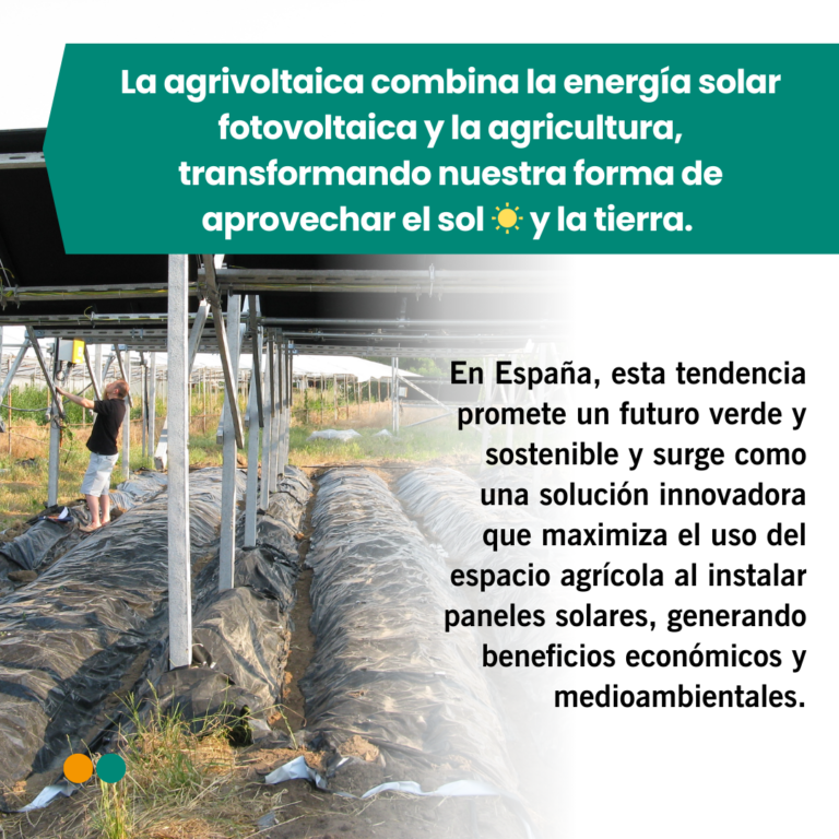 La Revolución Agrivoltaica 2