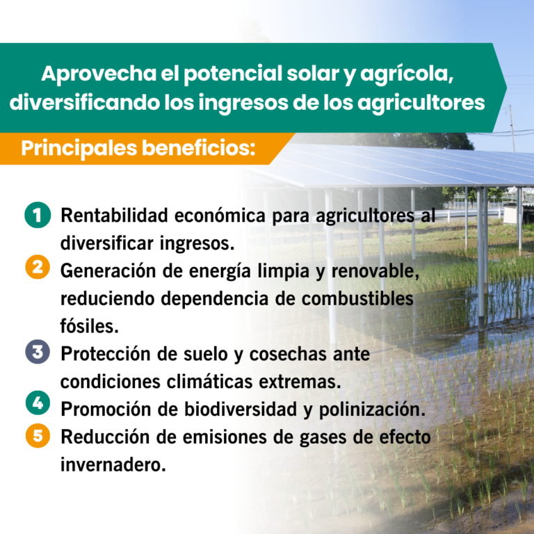 La Revolución Agrivoltaica 3