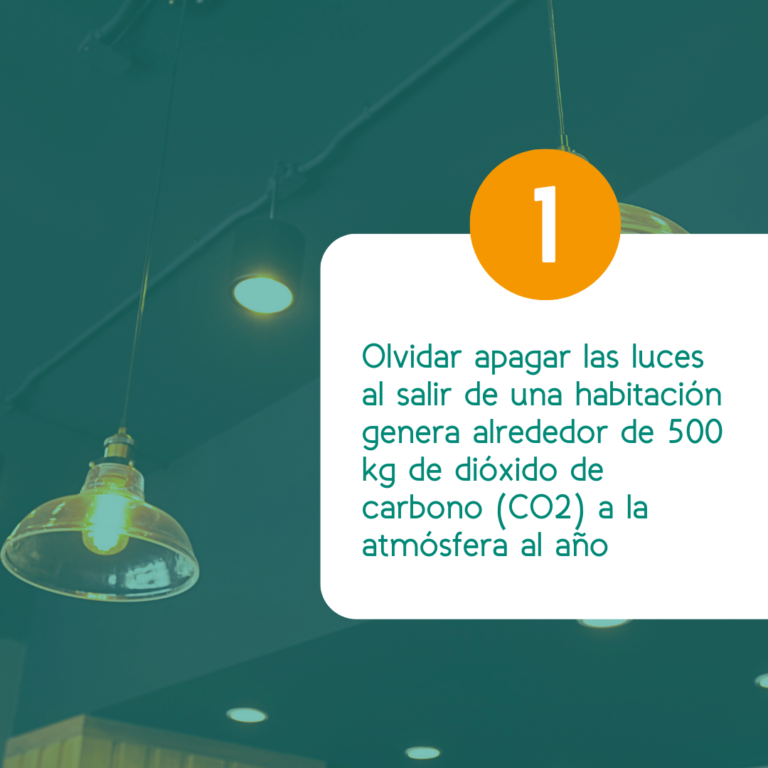 Consecuencias de un consumo ineficiente de la energía 1